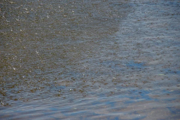 Getti Acqua Una Fontana Cittadina Sul Lago Nel Mese Agosto — Foto Stock