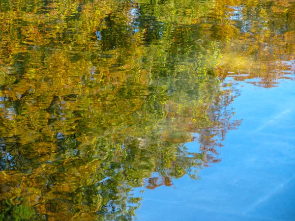 Spiegelung Der Baumblätter Wasser September — Stockfoto