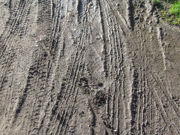 Sporen Van Auto Wielen Natte Grond Zand — Stockfoto