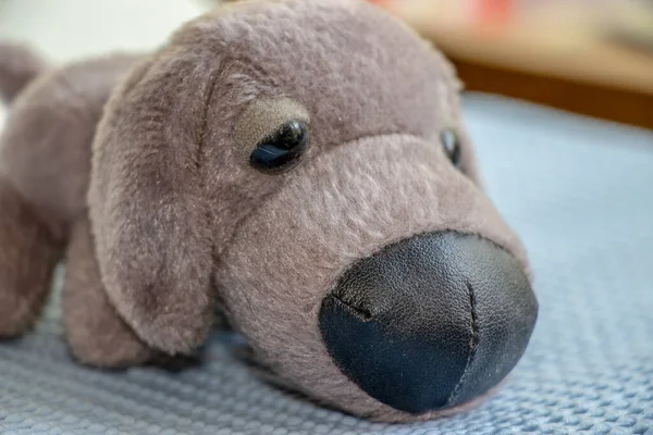 Brinquedo Forma Cão Cinza — Fotografia de Stock