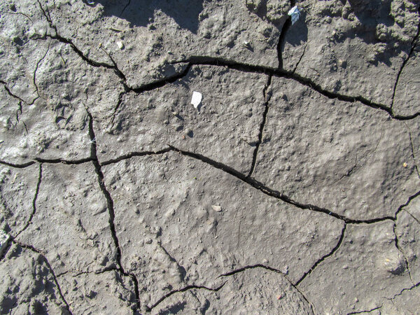 Cracked soil after rain in nature