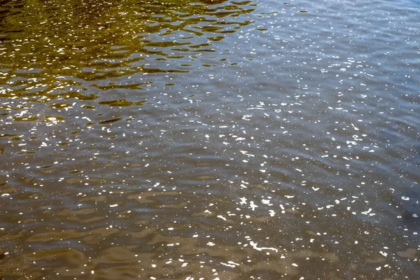 Agua Amarilla Con Espuma Río Septiembre — Foto de Stock