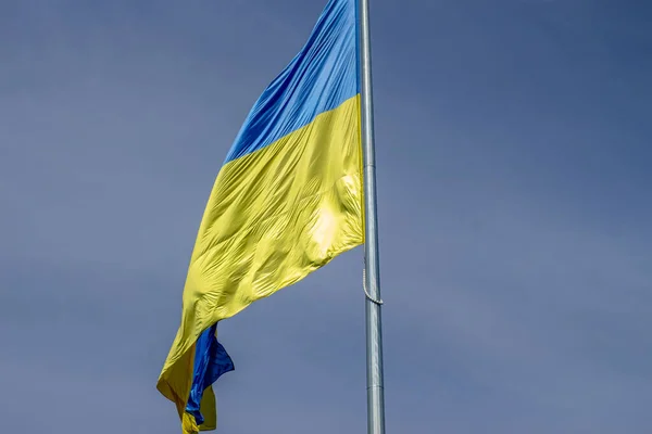 Ukrajinská Vlajka Stožáru Září Parku — Stock fotografie