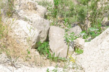 Taşlar ve kum şehrin dışındaki bir taş ocağında.