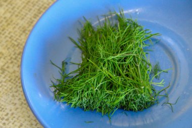 Mutfakta mavi bir tabakta yeşil dereotu.