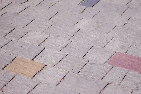 Textur Färgad Betong Trottoar För Bakgrunder — Stockfoto