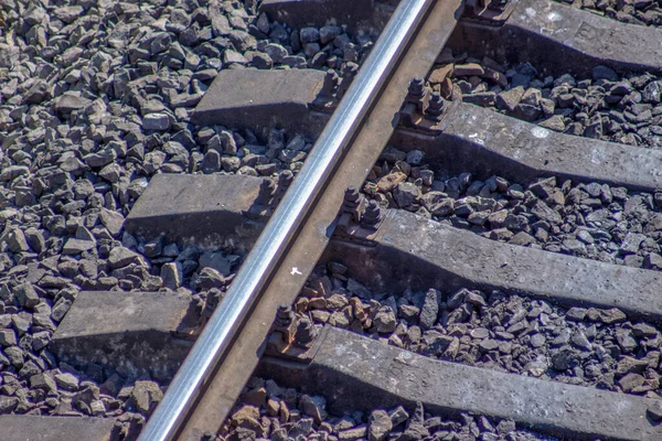 Banliyödeki Ormanda Tren Yolu Raylar — Stok fotoğraf