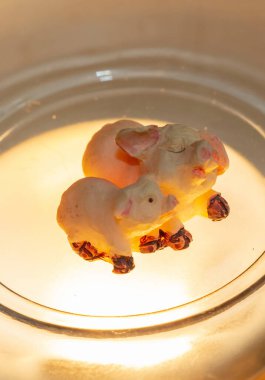 Bir turist dükkanından bir domuz yavrusu heykeli satın alındı.