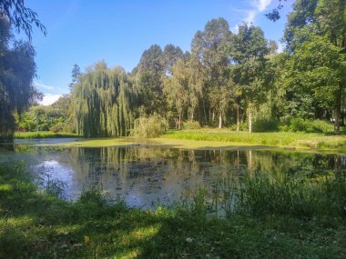 Parktaki sonbahar manzarası, göl ve göl seti.