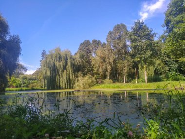 Parktaki sonbahar manzarası, göl ve göl seti.