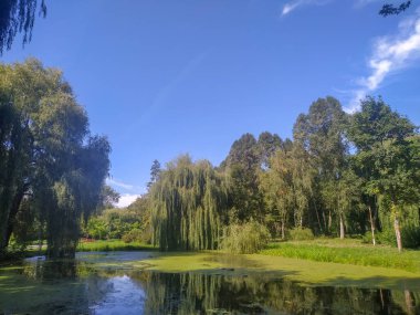 Parktaki sonbahar manzarası, göl ve göl seti.