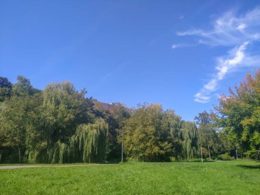 Eylülde parkta sonbahar manzarası