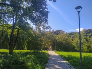 Eylülde parkta sonbahar manzarası