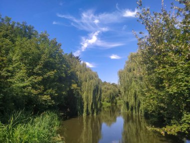 Parktaki sonbahar manzarası, göl ve göl seti.