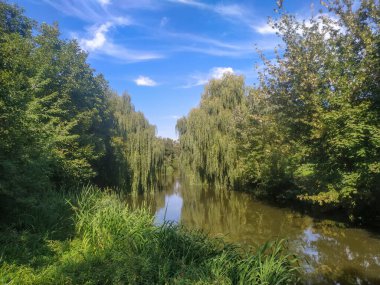 Parktaki sonbahar manzarası, göl ve göl seti.