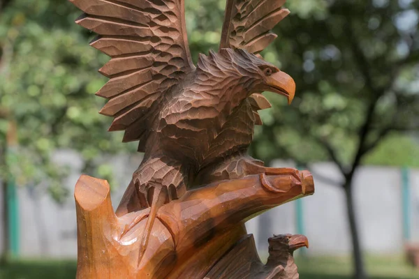 Escultura Madera Águila Encontrada Los Cárpatos Ucranianos — Foto de Stock