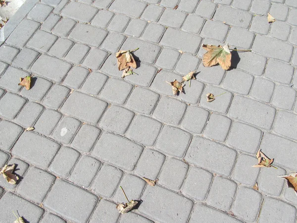 Pavement texture on the sidewalk for backgrounds