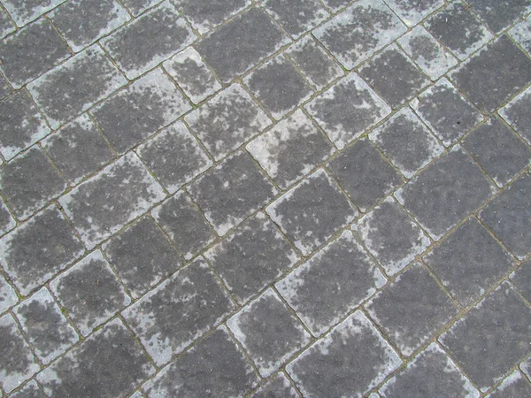 Wet Cobblestones Rain Textures Backgrounds — Stock Photo, Image