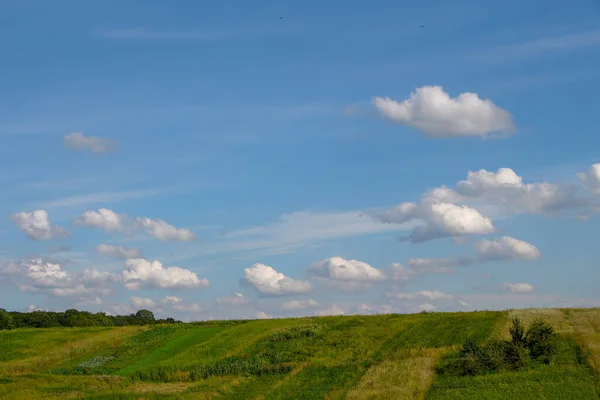 8月の美しい風景 すなわち フィールドと森と青空 — ストック写真