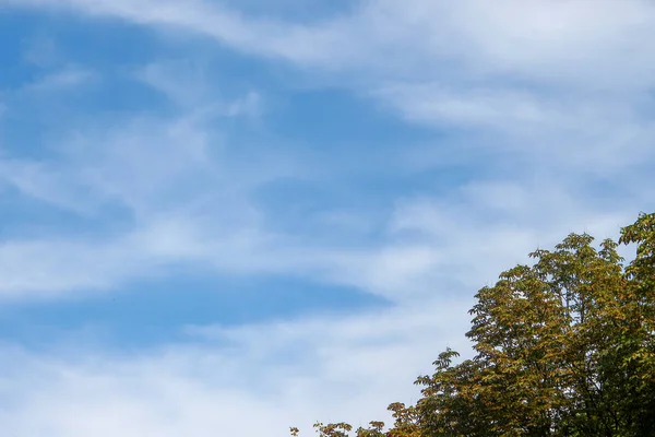Красивое Голубое Небо Белых Облаках Августе — стоковое фото