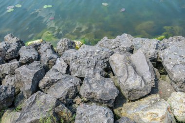 Göletin kıyısındaki suda taşlar.