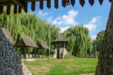 Parkta güzel doğa ve ağustosta yeşil ağaçlar
