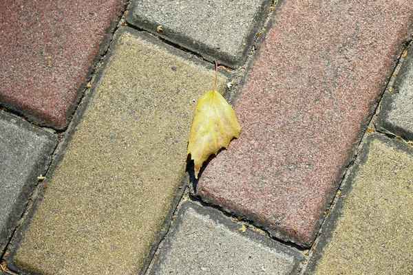 Texture of colored concrete pavement on the sidewalk