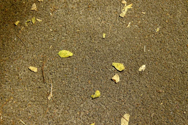 Texture Asphalt Footpath Park — Stock Photo, Image