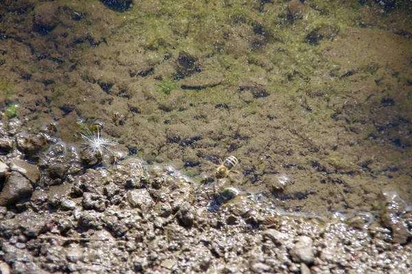 Yağmurdan sonra yol kenarında su birikintisi
