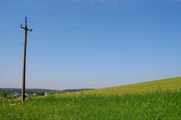 Zielone Pole Pszenicy Błękitne Niebo — Zdjęcie stockowe