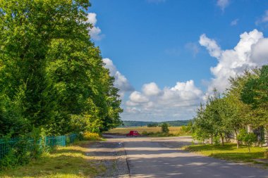 Şehrin dışındaki güzel sonbahar sarı tarlası.