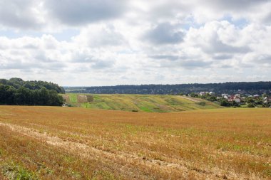 Şehrin dışındaki güzel sonbahar sarı tarlası.