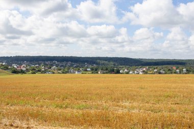 Şehrin dışındaki güzel sonbahar sarı tarlası.