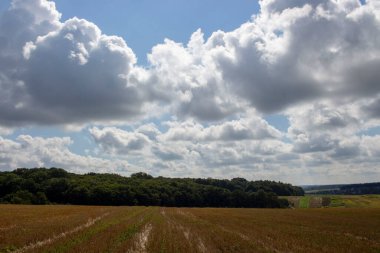 Şehrin dışındaki güzel sonbahar sarı tarlası.