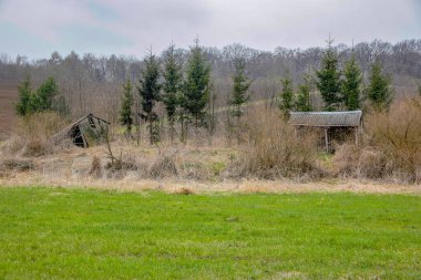 Ormanın yakınındaki terk edilmiş eski evler.