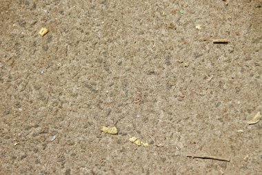 Parktaki asfalt patikasının dokusu