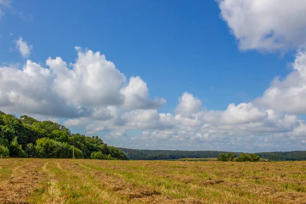 Bela Paisagem Outono Campo Amarelo Fora Cidade — Fotografia de Stock