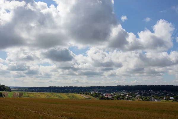 Piękny Krajobraz Jesiennego Żółtego Pola Poza Miastem — Zdjęcie stockowe