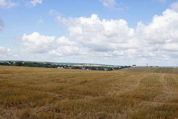 Beau Paysage Champ Jaune Automne Dehors Ville — Photo