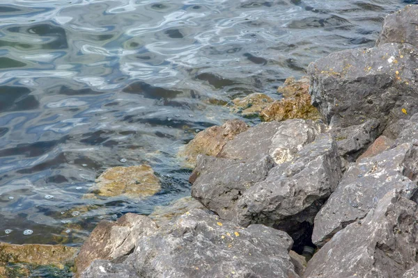 Χόρτο Και Πέτρες Στη Λίμνη Φόντο Κυμάτων — Φωτογραφία Αρχείου