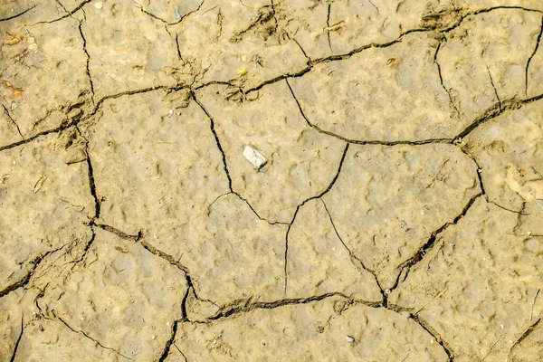 Beautiful Texture Cracked Earth Rain — Stock Photo, Image