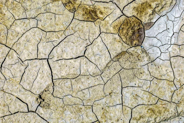 Beautiful Texture Cracked Earth Rain — Stock Photo, Image