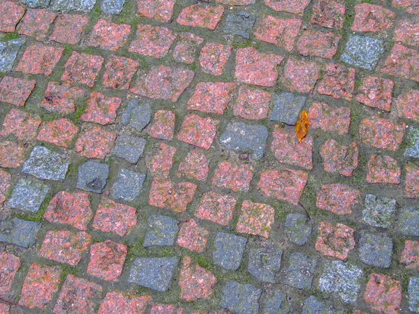 Texture Concrete Pavement Sidewalk Backgrounds — Stock Photo, Image