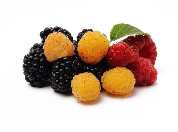 Blackberries, red and yellow raspberries, isolated on white back — Stock Photo, Image