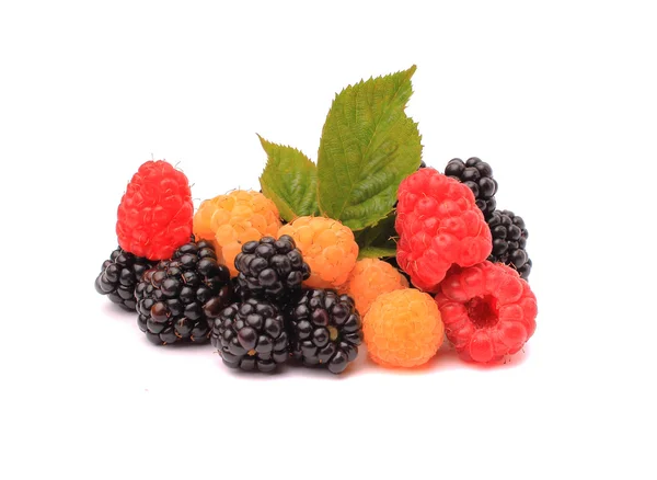 Blackberries, red and yellow raspberries, isolated on white back — Stock Photo, Image