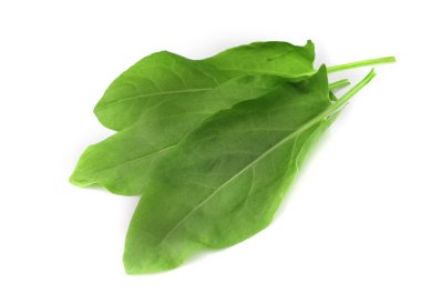 kuzukulağı üzerinde beyaz izole