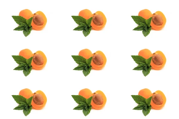 Mint, abrikoos gesneden in de helft op witte achtergrond — Stockfoto