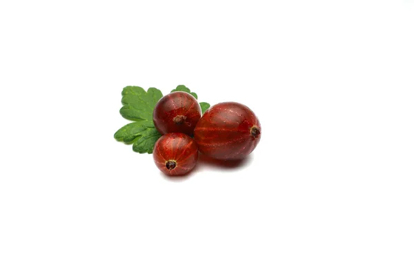 Gooseberries on a white background — Stock Photo, Image