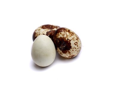 izole bıldırcın yumurtası