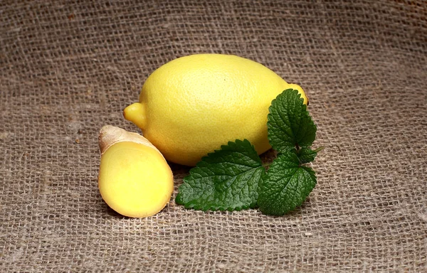 Amarillo limón y menta sobre fondo aislado —  Fotos de Stock